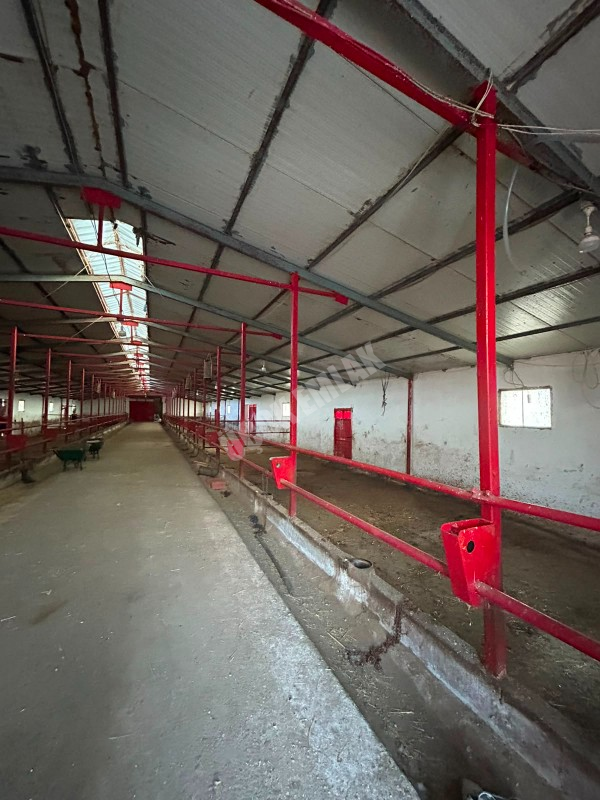 AFYON ÜÇOK EMLAKTAN ATAKÖY MAH 4.565M² GENİŞLİĞİNDE HAYVANCILIĞA UYGUN SATILIK ÇİFTLİK 