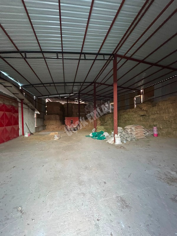 AFYON ÜÇOK EMLAKTAN ATAKÖY MAH 4.565M² GENİŞLİĞİNDE HAYVANCILIĞA UYGUN SATILIK ÇİFTLİK 