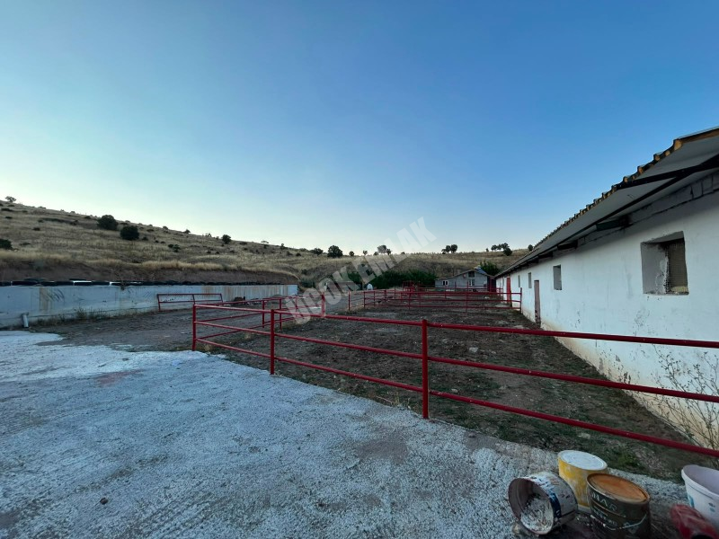 AFYON ÜÇOK EMLAKTAN ATAKÖY MAH 4.565M² GENİŞLİĞİNDE HAYVANCILIĞA UYGUN SATILIK ÇİFTLİK 