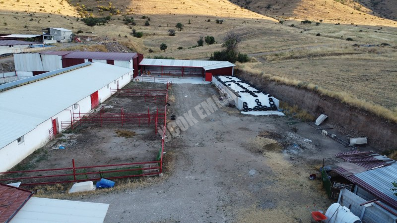 AFYON ÜÇOK EMLAKTAN ATAKÖY MAH 4.565M² GENİŞLİĞİNDE HAYVANCILIĞA UYGUN SATILIK ÇİFTLİK 