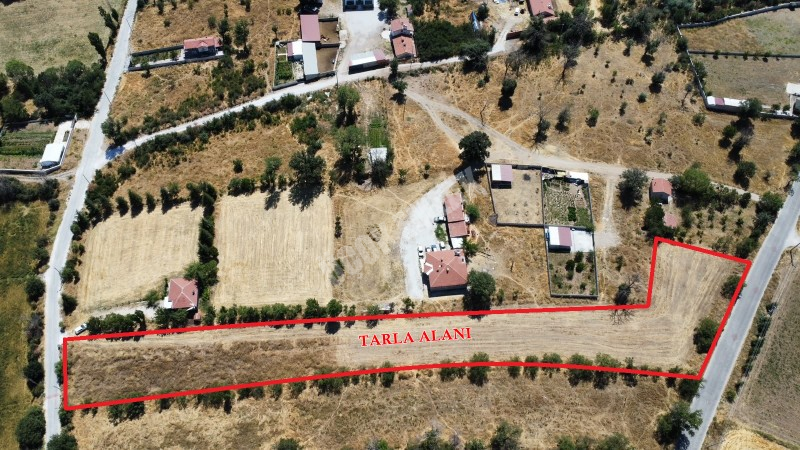 AFYON ÜÇOK EMLAKTAN SÜLÜN  GÜLTEPE DE ŞUHUT YOLUNA YAKIN 5.294M² SATILIK TARLA