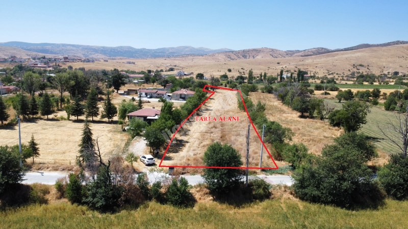 AFYON ÜÇOK EMLAKTAN SÜLÜN  GÜLTEPE DE ŞUHUT YOLUNA YAKIN 5.294M² SATILIK TARLA
