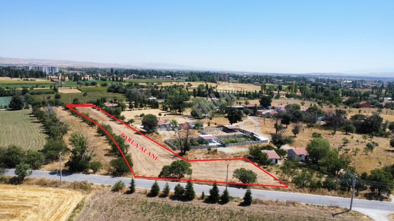 AFYON ÜÇOK EMLAKTAN SÜLÜN  GÜLTEPE DE ŞUHUT YOLUNA YAKIN 5.294M² SATILIK TARLA