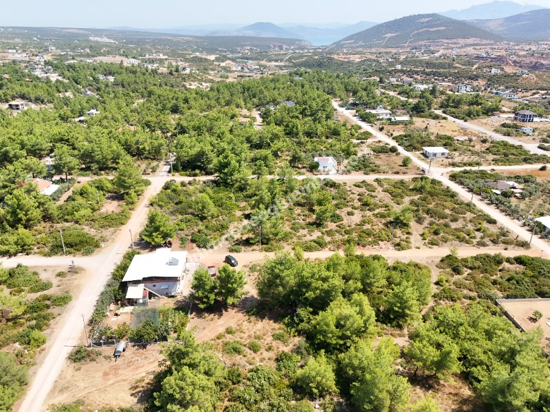 Didim Seyrantepe'de 610m² İmarlı Villa Arsası - Yatırım Fırsatı!