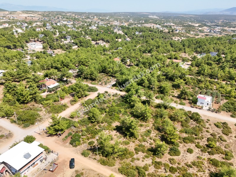 Didim Seyrantepe'de 610m² İmarlı Villa Arsası - Yatırım Fırsatı!
