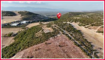 Didim Bozseki’de Bodrum Yoluna 120m - Toplam 604 m² - 2 Parsel Villa İmarlı Müstakil Arsalar
