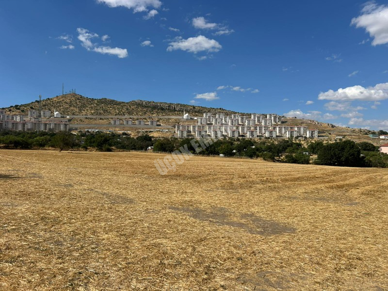 Afyon Üçok Emlaktan Kanlıca Mah Satılık Gökce Toki Yakını Tarlalar