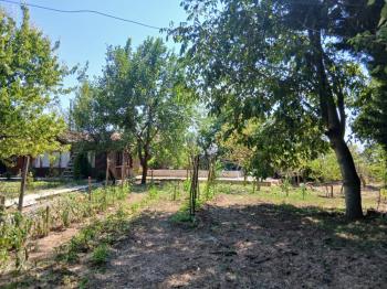 GÜVENAY - ÇORUM ILICA BAĞLARINDA İÇERİSİNDE 2 ADET EVİ BULUNAN SATILIK BAĞ