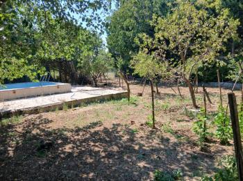 GÜVENAY - ÇORUM ILICA BAĞLARINDA İÇERİSİNDE 2 ADET EVİ BULUNAN SATILIK BAĞ