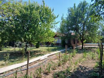 GÜVENAY - ÇORUM ILICA BAĞLARINDA İÇERİSİNDE 2 ADET EVİ BULUNAN SATILIK BAĞ