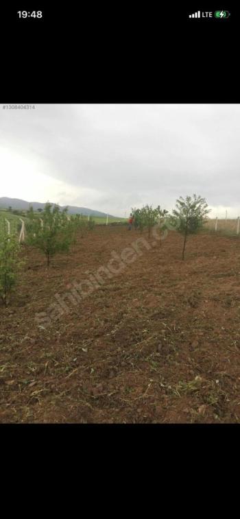GÜVENAY - ÇORUM SLİMKENT TOKİ ARKASI SATILIK 750 M2 HOBİ BAHÇESİ