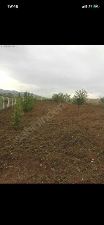 GÜVENAY - ÇORUM SLİMKENT TOKİ ARKASI SATILIK 750 M2 HOBİ BAHÇESİ