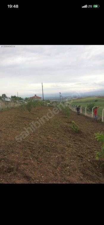GÜVENAY - ÇORUM SLİMKENT TOKİ ARKASI SATILIK 750 M2 HOBİ BAHÇESİ