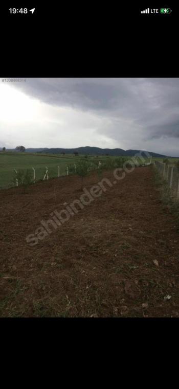 GÜVENAY - ÇORUM SLİMKENT TOKİ ARKASI SATILIK 750 M2 HOBİ BAHÇESİ