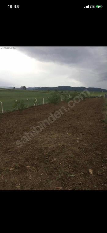 GÜVENAY - ÇORUM SLİMKENT TOKİ ARKASI SATILIK 750 M2 HOBİ BAHÇESİ