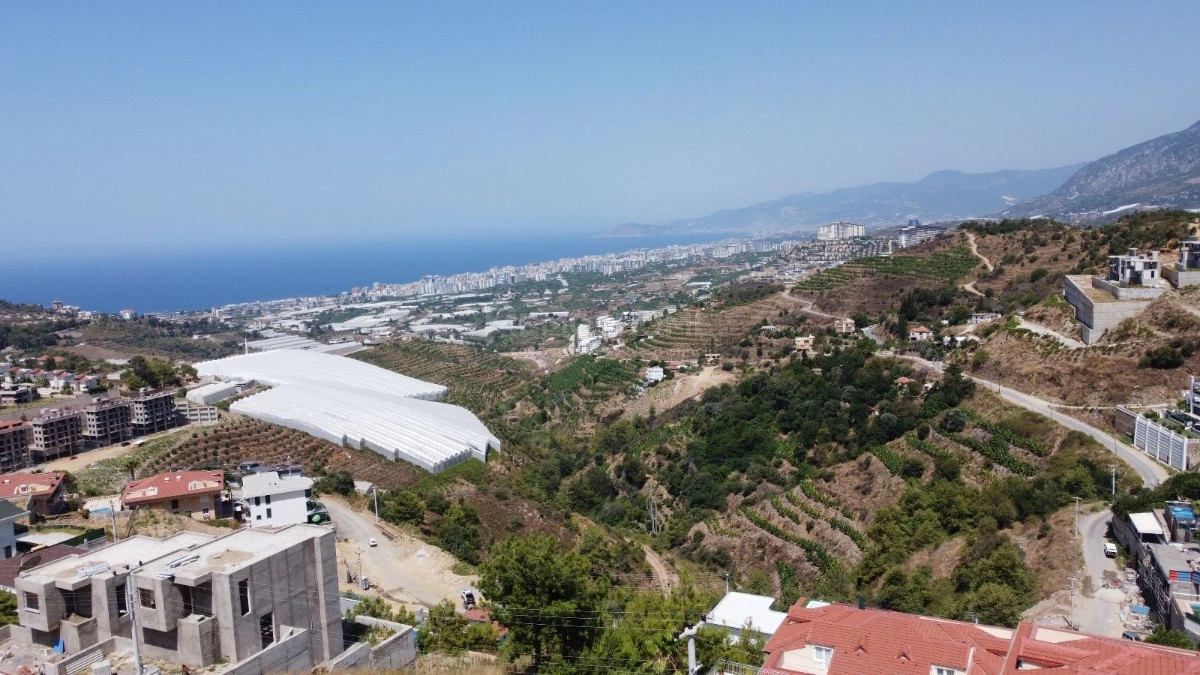 Kargıcak Olive Hill Manzaralı Villa