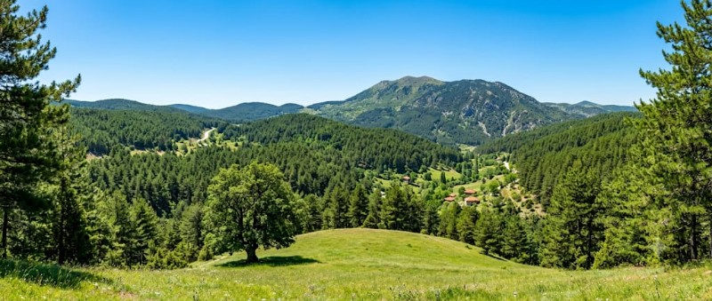 ARABA FİYATINA 4.227 m² SULAK GELECEĞİNE VE TOPRAĞINA YATIRIM YAPMAK İÇİN HEMEN ARAYIN!ARAZİ M² SADECE 112 TL PERTA EMLAK ÜMİT TAHMAZ