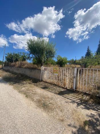 GÜVENAY - ÇORUM ÜÇTUTLAR AYARIK BAĞLARI ALTINDA SATILIK 1.000 M² ARSA