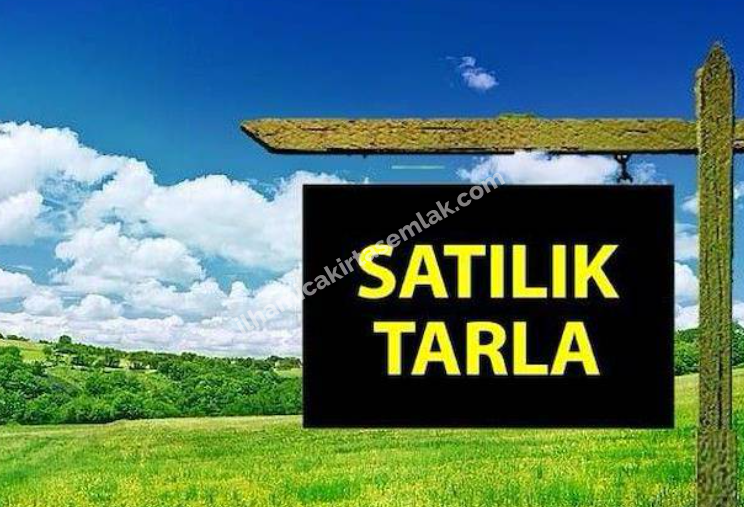 TUŞBA AYANIS'TA SATILIK TARLA