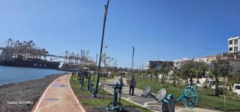 MARMARA’NIN İNCİSİNDE LİMAN ÖNÜ TİCARİ İMARLI PROJE VE BAHÇELİ EV