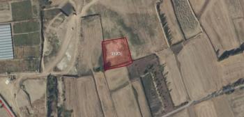 GÜVENAY - ÇORUM MERKEZ SARIMBEY KÖYÜ’NDE SATILIK 3.755 M² YATIRIMLIK TARLA